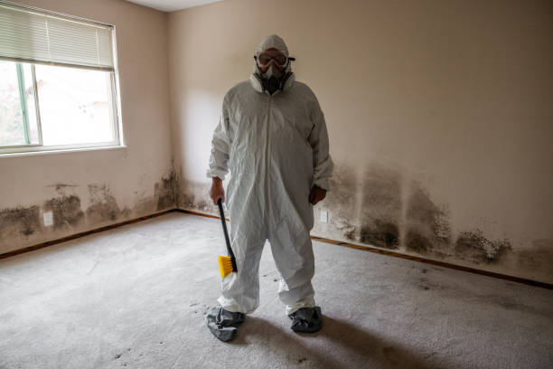 Best Emergency Mold Removal  in Logan, IA